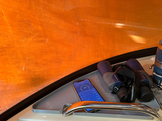Port Side DashTray